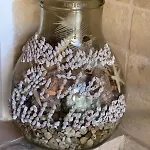 Shell House, Casa Con Ampio Giardino A 100m Dal Mare *