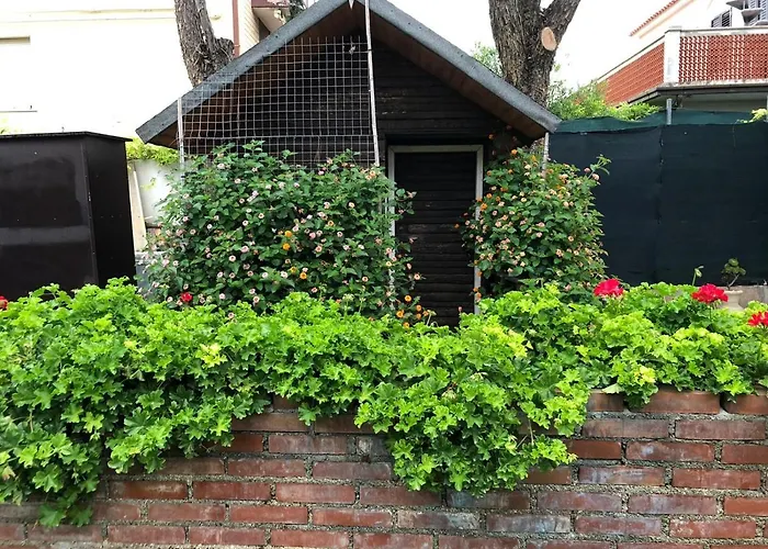 펜션 Shell House, Casa Con Ampio Giardino A 100m Dal Mare *